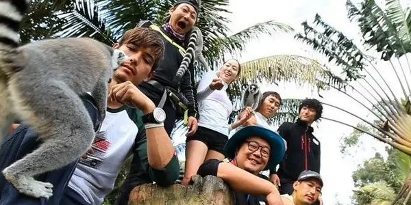 丛林法则为什么下架了