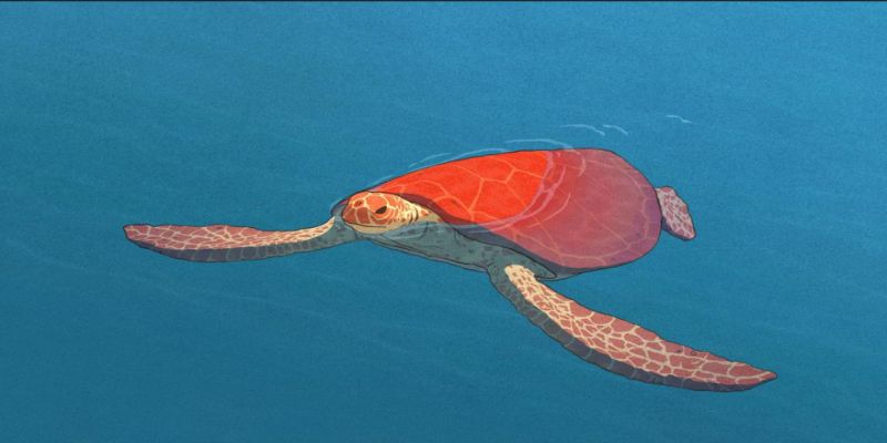 红海龟电影表达什么
