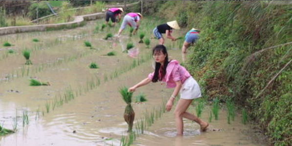 浑水摸鱼是三十六计里面的吗