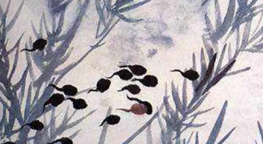 小蝌蚪找妈妈是中国第一部水墨动画片吗
