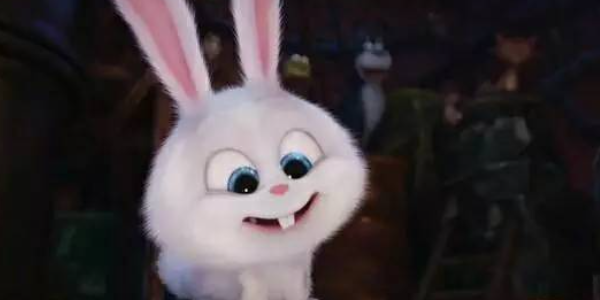 爱宠大机密小白兔叫什么