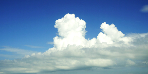 云与海是写给白鹿的吗