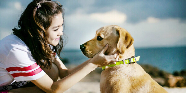 神犬小七现在还活着吗
