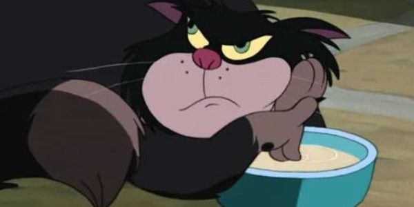 路西法猫是哪个动画片